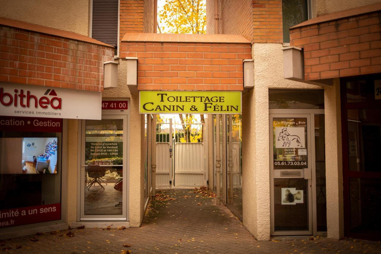 Charmant Studio☆Netflix☆Canal+☆Canal Sat☆Parking☆ Ramonville-Saint-Agne Zewnętrze zdjęcie